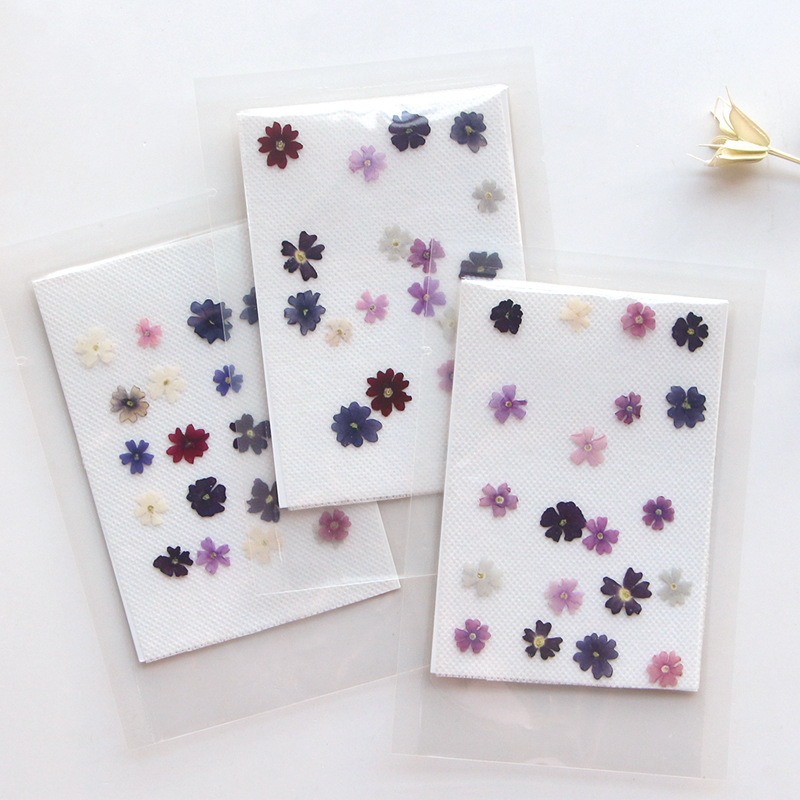 Photo Frame Baby - 40 Stks/partij, Mini Schoonheid Kersen Geperste