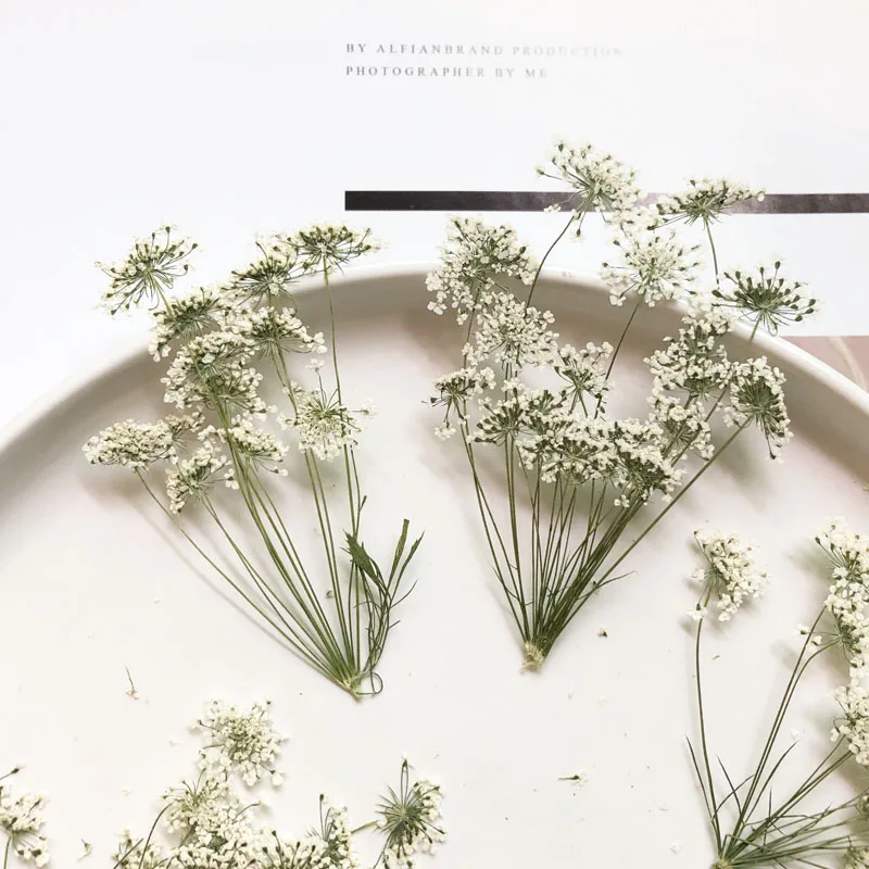 Photo Frame Baby - 5-7 cm/12 stks, Sneeuw Kleine Bloemen