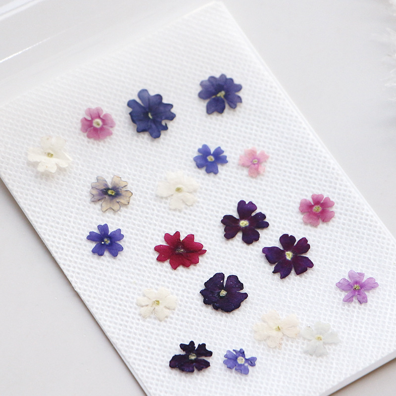 40 Stks/partij, Mini Schoonhei - Photo Frame Baby recensie en prijs