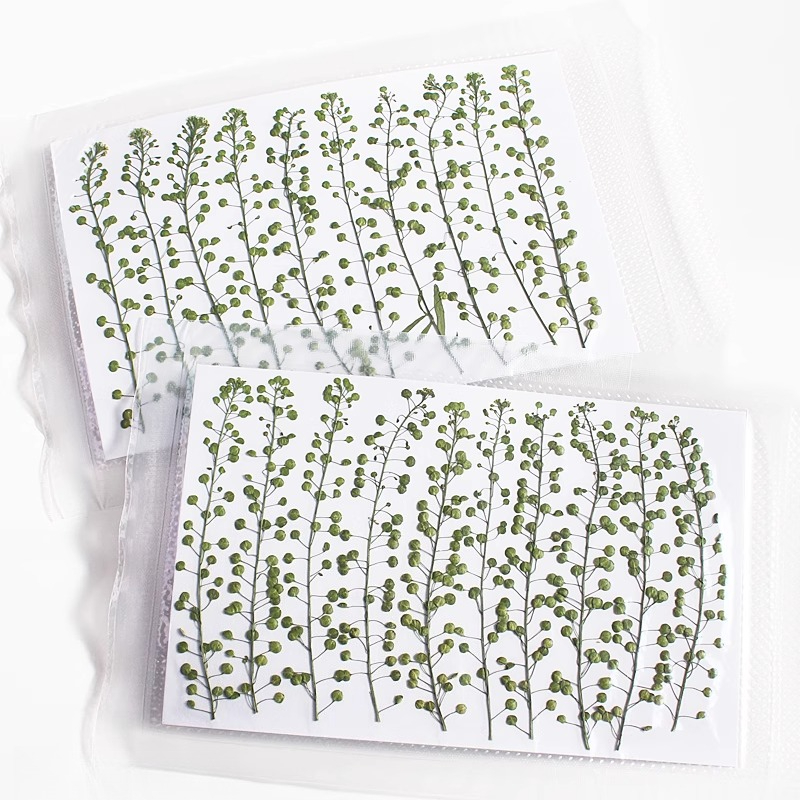 Natuurlijke kleur groene bel g - Photo Frame Baby recensie en prijs
