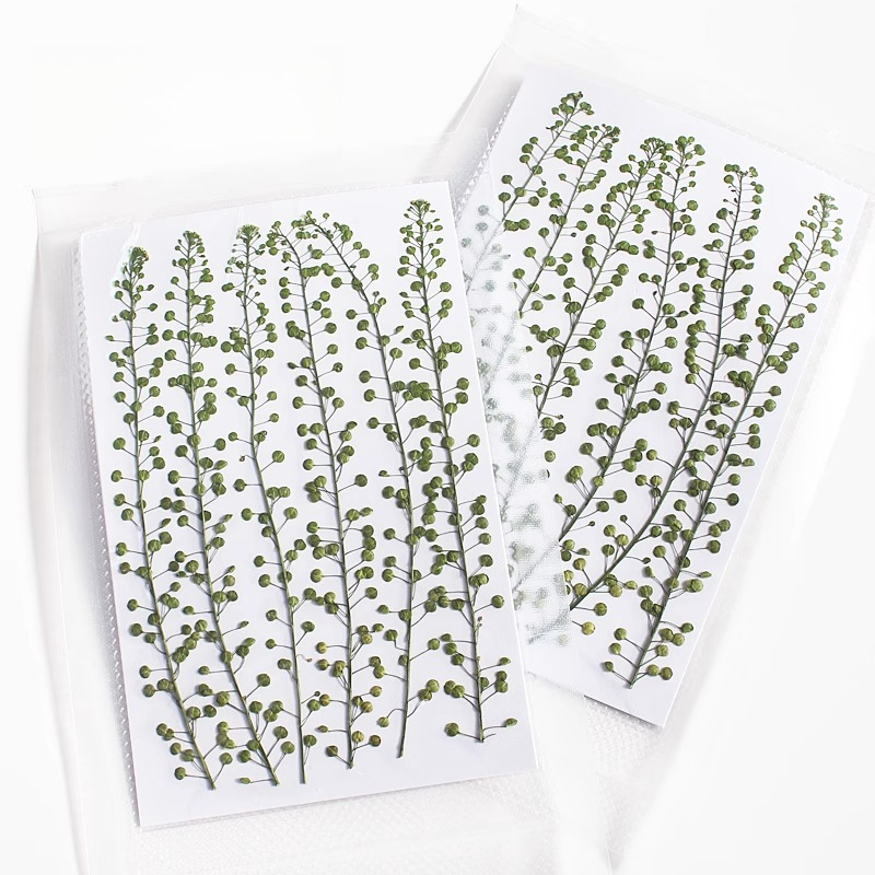 Natuurlijke kleur groene bel g - Photo Frame Baby recensie en prijs