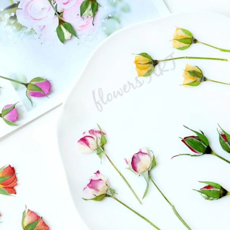 Geperste rozenknop bloemblaadj - Photo Frame Baby recensie en prijs
