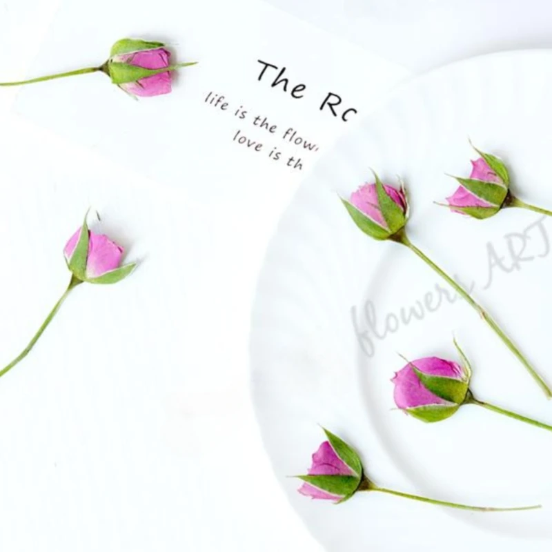 Geperste rozenknop bloemblaadj - Photo Frame Baby recensie en prijs