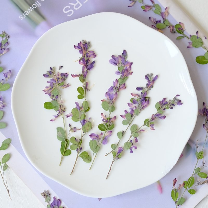 6 stuks, natuurlijke Lespedeza - Photo Frame Baby recensie en prijs