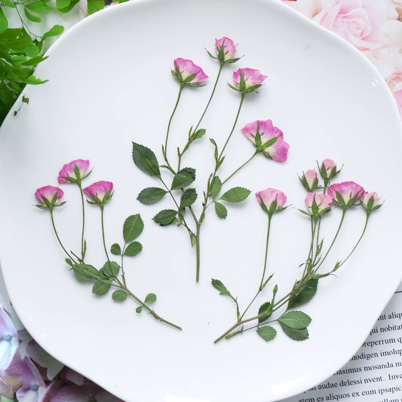 12 stuks, mini roze roos geper - Photo Frame Baby recensie en prijs