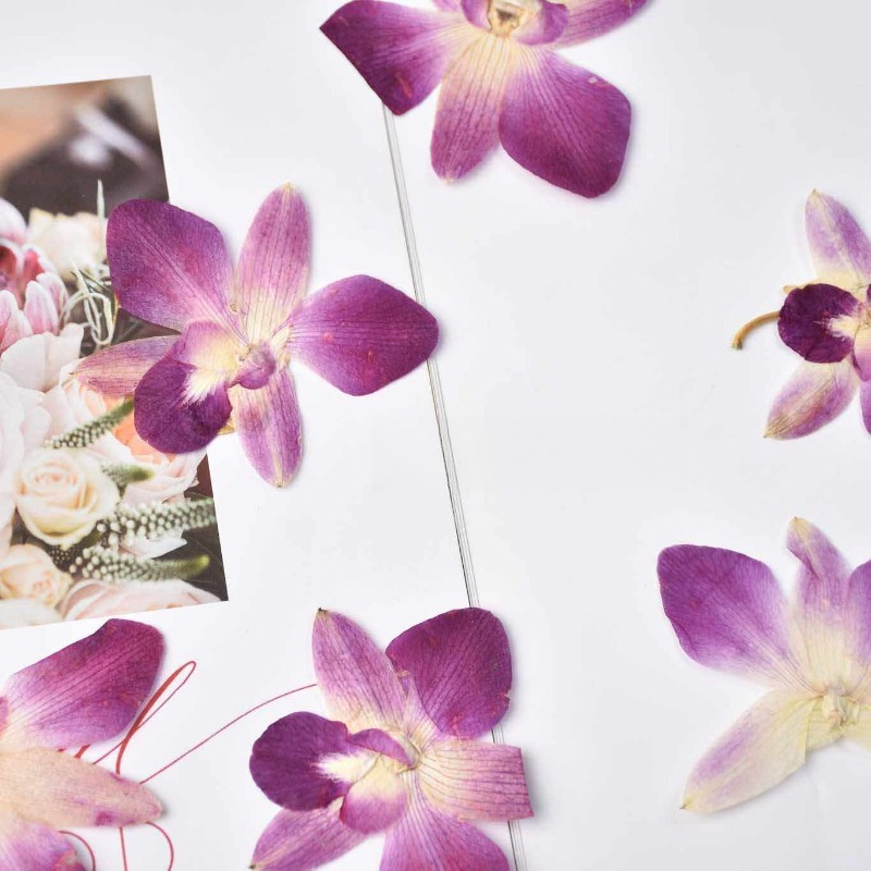 4 stuks, echte geperste vlinde - Photo Frame Baby recensie en prijs