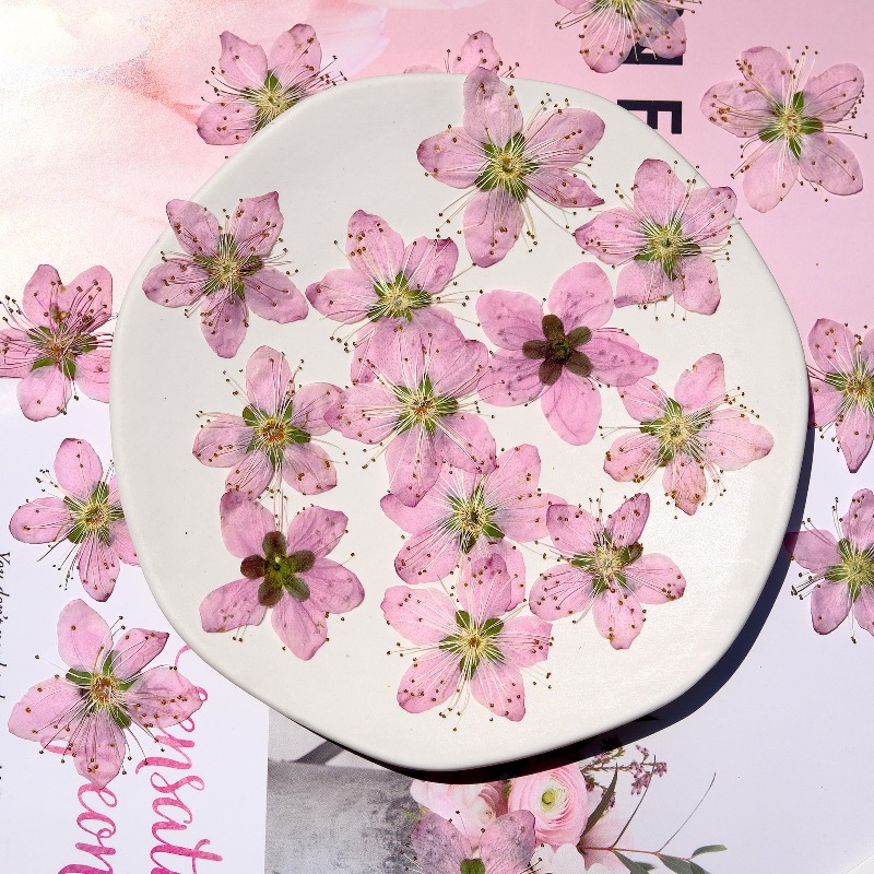 3-4cm./6 stuks, Roze Perzikblo - Photo Frame Baby recensie en prijs