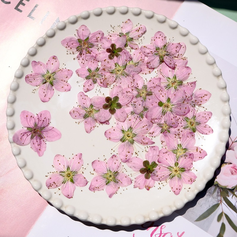 3-4cm./6 stuks, Roze Perzikblo - Photo Frame Baby recensie en prijs