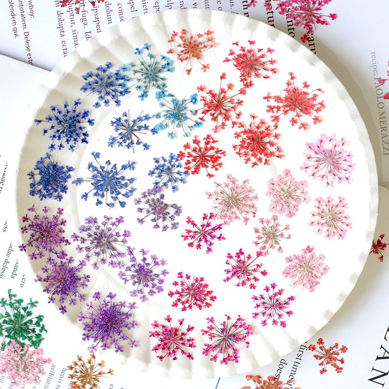 24 stuks, 2-2,5 cm, natuurlijk - Photo Frame Baby recensie en prijs