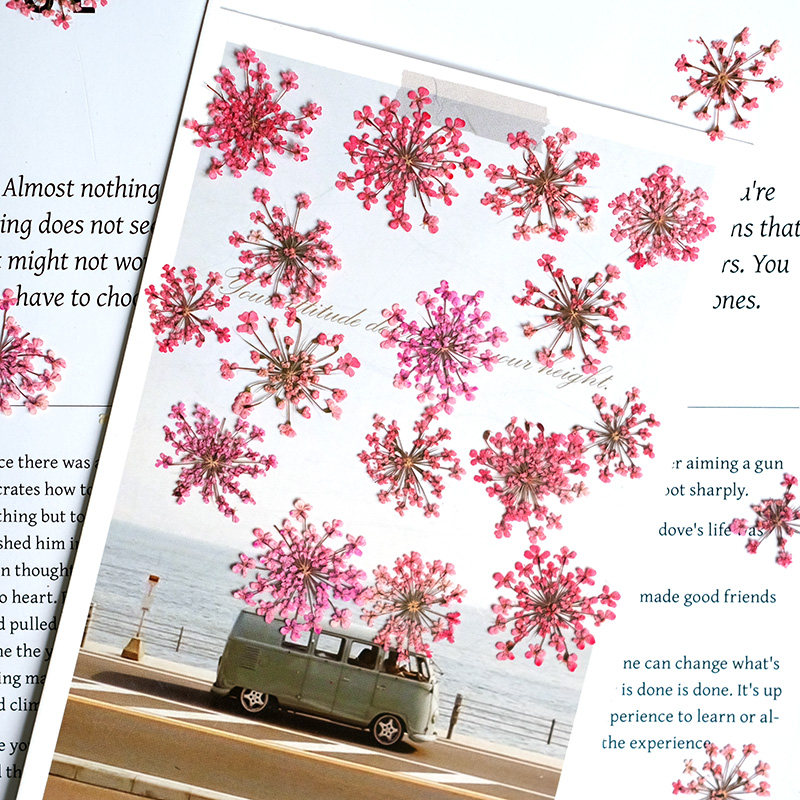 24 stuks, 2-2,5 cm, natuurlijk - Photo Frame Baby recensie en prijs