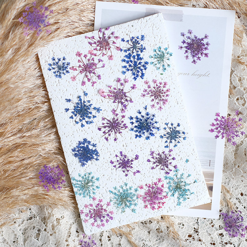 24 stuks, 2-2,5 cm, natuurlijk - Photo Frame Baby recensie en prijs