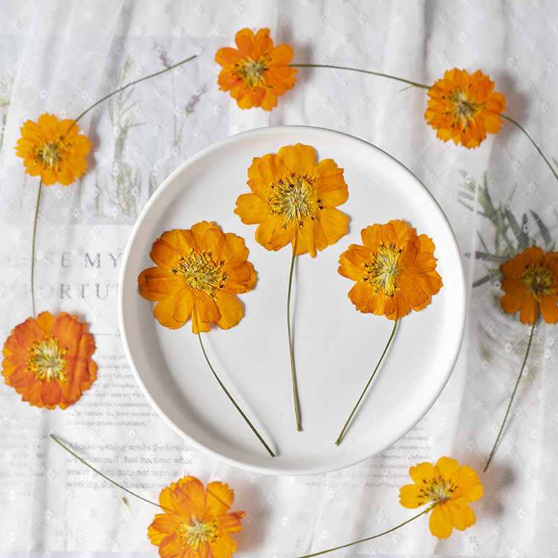 8-10cm/24 stuks, natuurlijk ge - Photo Frame Baby recensie en prijs