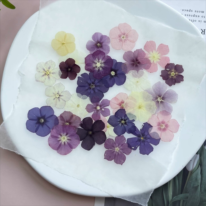 12 stuks, semi-transparante ni - Photo Frame Baby recensie en prijs